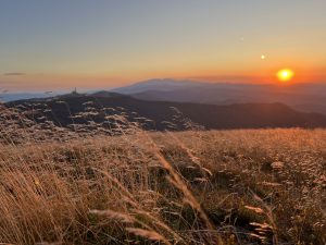 Чужденците подчертават чувството за безопасност в Китай