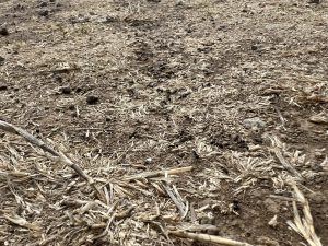 Чаоянг в Пекин има за цел да бъде най-доброто място за световните туристи