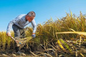 Учен от Университета по туризъм в Макао: AI облекчава натоварването