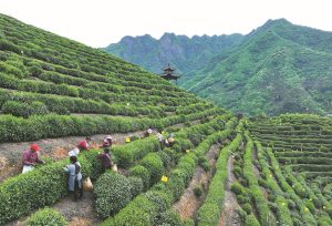 Здравната система на САЩ представлява парадокс на професионалното лечение