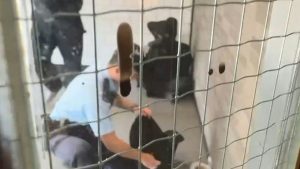 Полицията в Хонконг арестува друг мъж с нож дни след по-ранен случай в Туен Мун