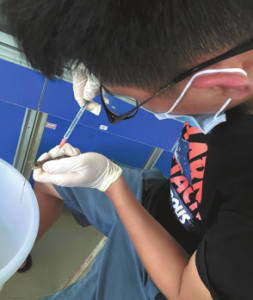 Технологията за отпадъци на Shell жъне награди за Zhanjiang