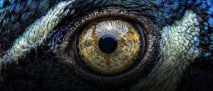 Kling Native 4K Generation нарушава тавана на рекламното качество на AI Video